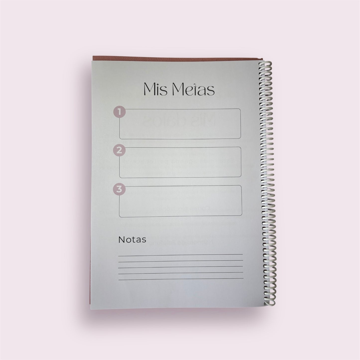 Mi Agenda de Diabetes – Una vida dulce, valiente y de color